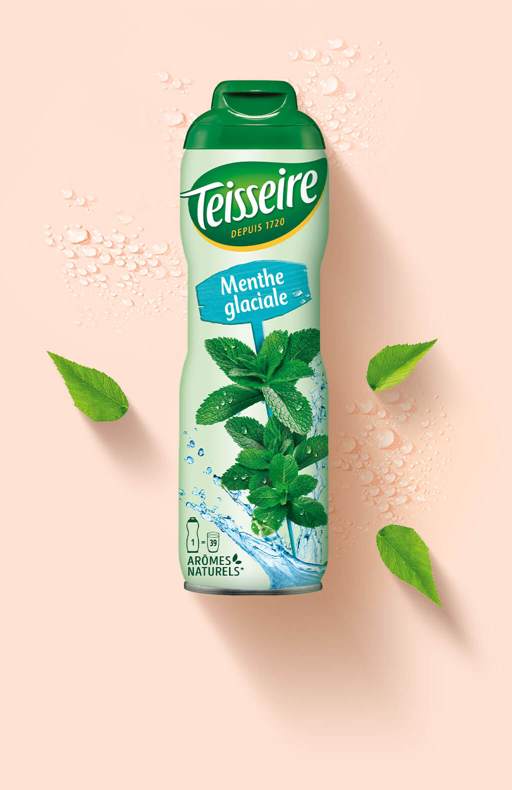 Bidon de sirop menthe glacialeTeisseire Bidon de sirop menthe glacialeTeisseire